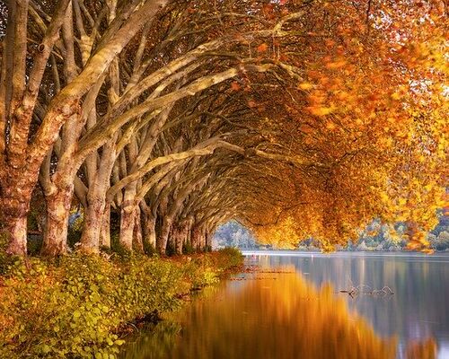 大阪の脱毛風景